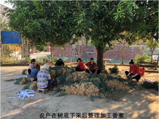 基层声音:农民群体谋求发展太难了,太痛苦了!!