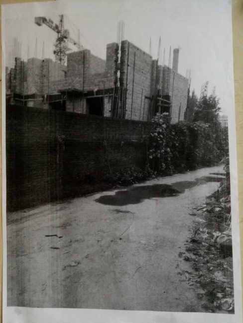 3-11-488x650-1 3-11-488x650-1