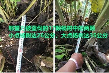 河南息縣：「心善」反被誣敲詐勒索   訴諸法律卻立案難