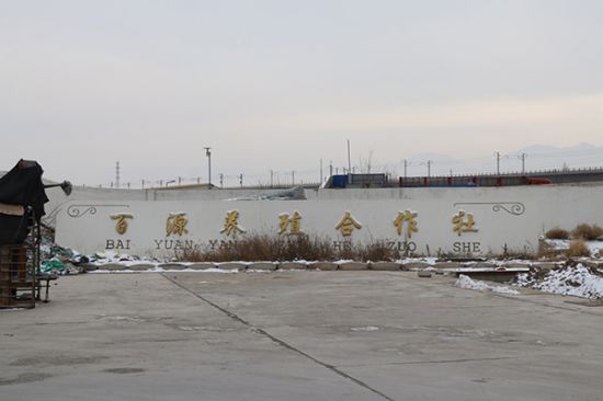 酒泉肅州區:牛羊交易亂象何時休?