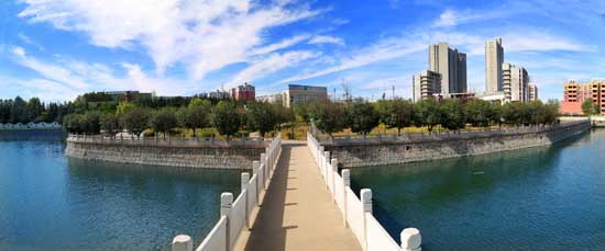 平頂山市石龍區：用磁場效應，催生能力作風建設「蝶變」