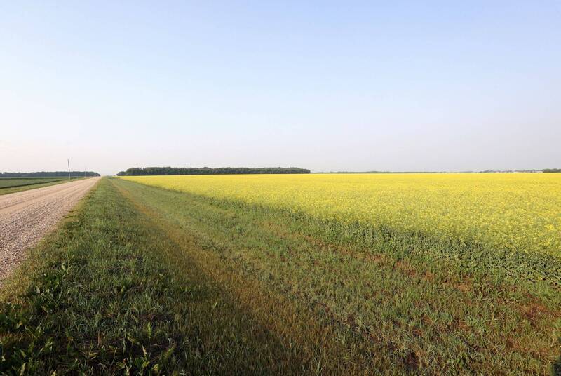 加拿大马尼托巴省(Manitoba)南部于当地时间周二(7月9日)上午发生一起空中飞机相撞事故,造成两名学生飞行员罹难。图为马尼托巴省。(彭博) 加拿大马尼托巴省(Manitoba)南部于当地时间周二(7月9日)上午发生一起空中飞机相撞事故,造成两名学生飞行员罹难。图为马尼托巴省。(彭博)