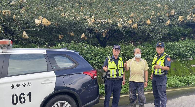 台中山城高接梨採收 東勢警啟動護農專案