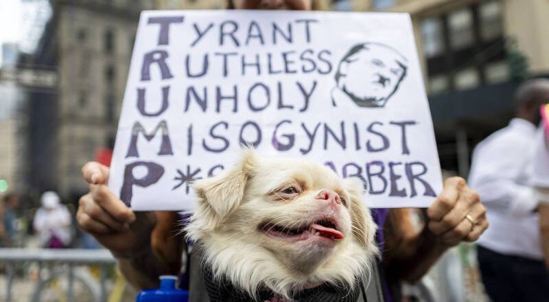 最新川普政策民調出爐!近半美國人認為「受害更深」