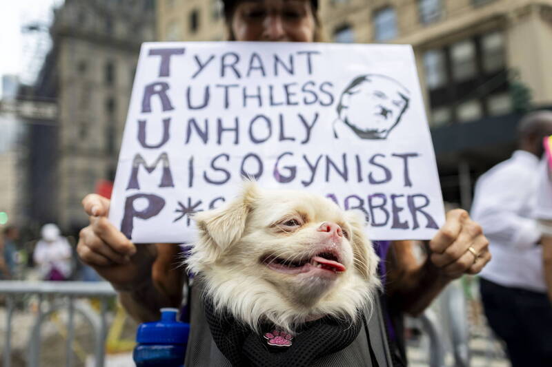 纽约市17日一场反川示威中，民众举起指控川普暴君、无情、邪恶、仇女的看板。（欧新社）