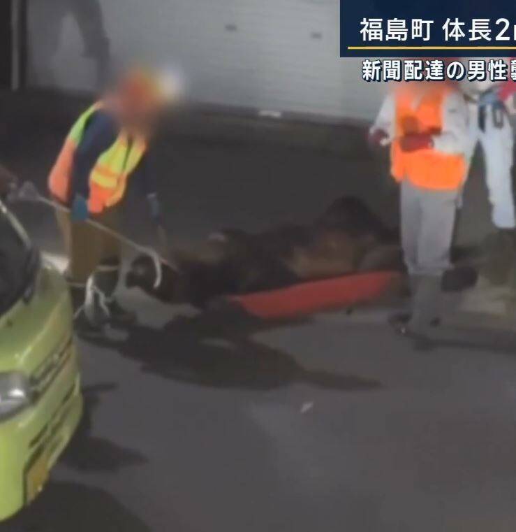 18日福岛町传出猎人们在住宅区射杀一头棕熊,经过研究机构DNA比对后,确定被射杀的棕熊是12日咬死送报员的棕熊,此外,这只棕熊4年前曾咬死77岁妇人。(图撷取自 X )
18日福岛町传出猎人们在住宅区射杀一头棕熊,经过研究机构DNA比对后,确定被射杀的棕熊是12日咬死送报员的棕熊,此外,这只棕熊4年前曾咬死77岁妇人。(图撷取自 X )