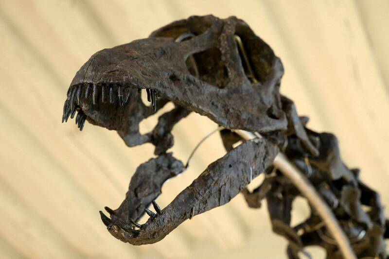 恐龙示意图。（路透档案照）