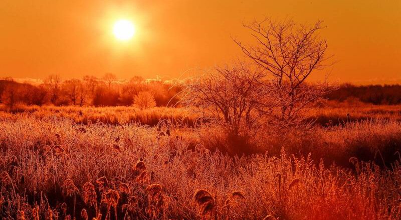 日本北海道迎来前所未有酷暑！部分地区逼近摄氏40度