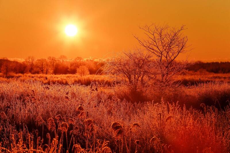 日本北海道东部和北部沿海侧,23日预测气温最高接近摄氏40度。北海道太阳示意图。(欧新社) 日本北海道东部和北部沿海侧,23日预测气温最高接近摄氏40度。北海道太阳示意图。(欧新社)