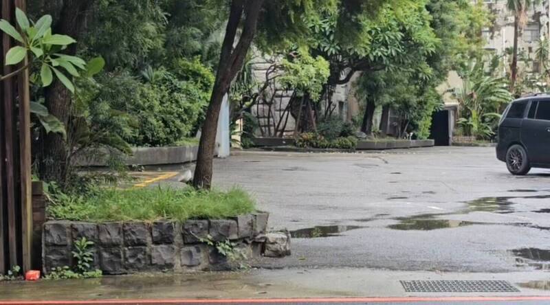 江昱贤保外就医期间逃逸后，躲藏在桃园市汽车旅馆，甚至犯下2起强盗性侵案，最后在汽车旅馆落网。（记者郑淑婷翻摄）