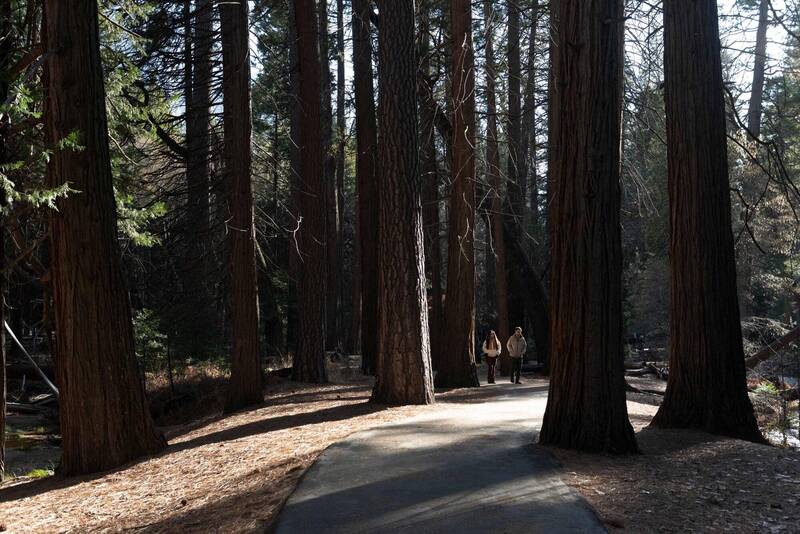 游客在美国加州优胜美地国家公园健行。示意图，非当事人。（法新社资料照）