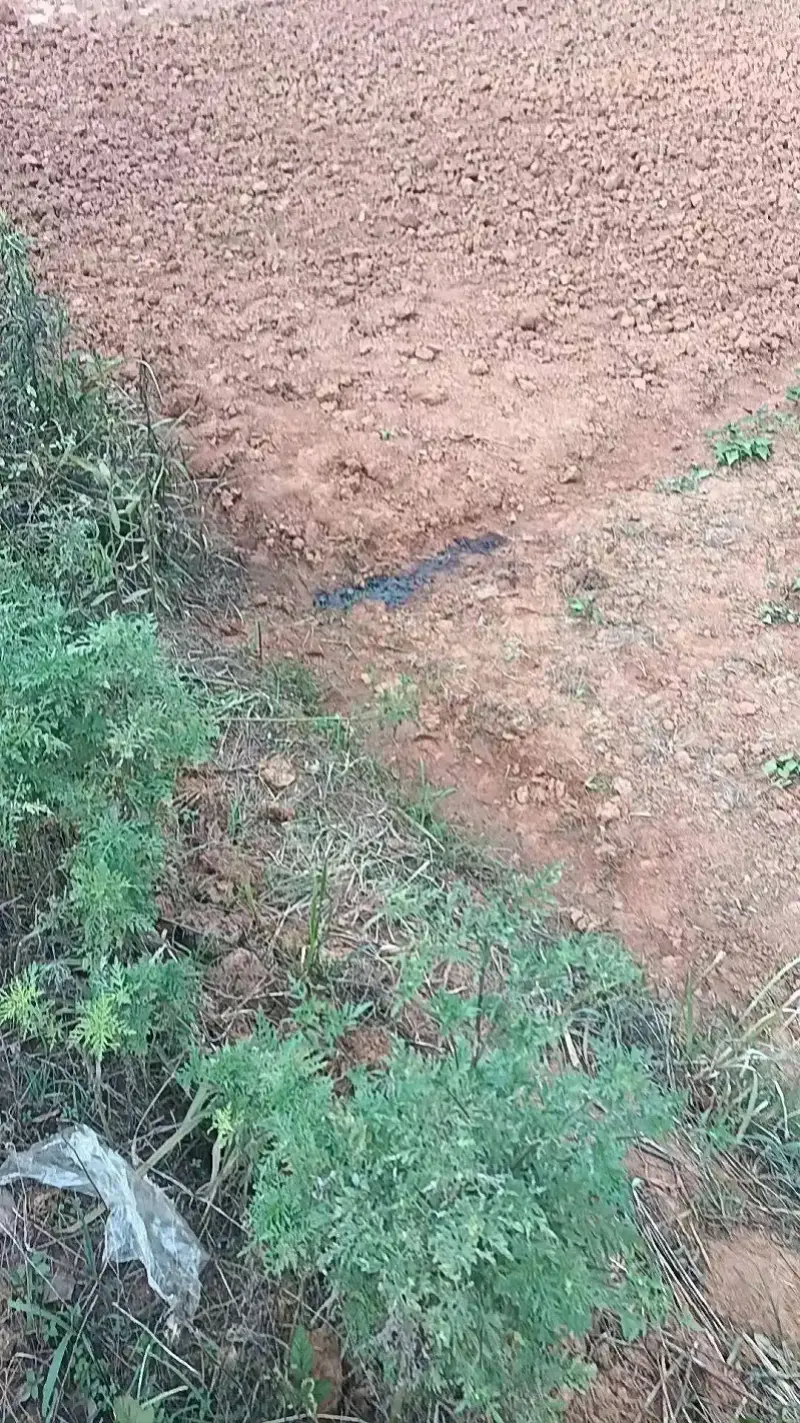 46775611AD1C0264B23D6069649D5AEBCCDAFFD4_size2322_w800_h1423