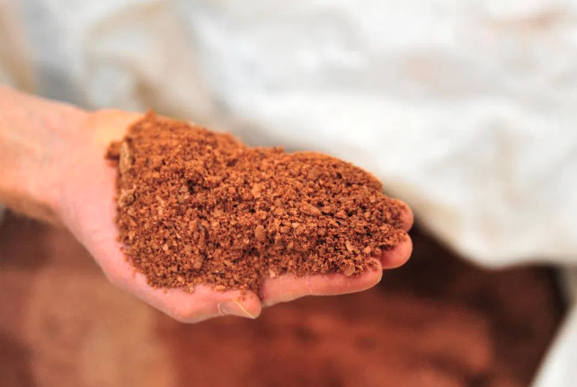 20251015_17605539289601 20251015_17605539289601