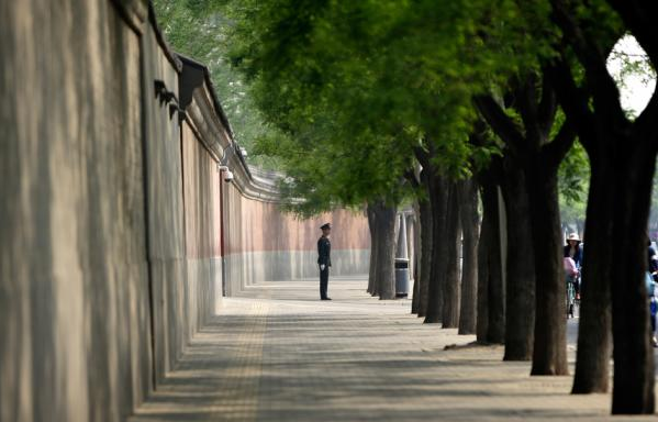 20250721_17531468621059 20250721_17531468621059