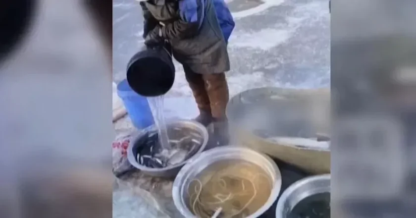 零下20度！東北早市奇觀 替魚洗「熱水澡」