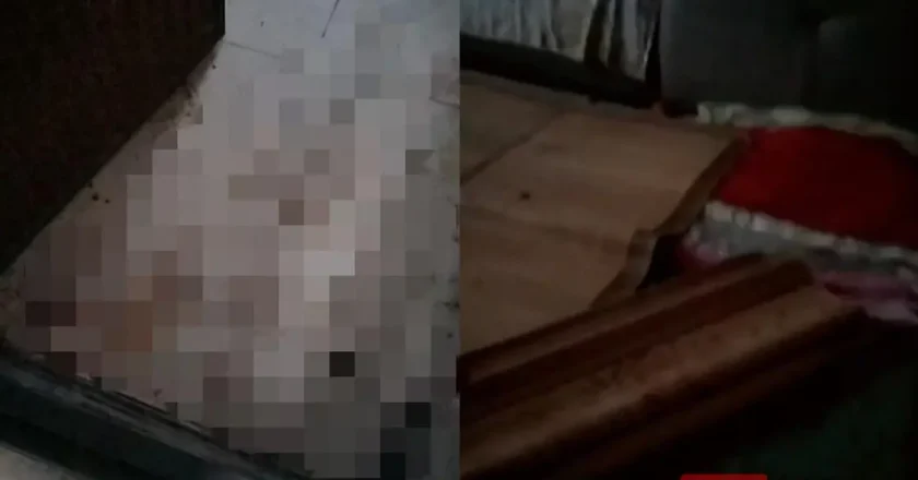 他殺害92歲鄰居及保姆 11天後被捕 網質疑對兇手進行精神鑒定