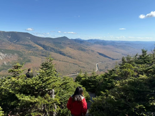 id14632104-187292-600x450-1