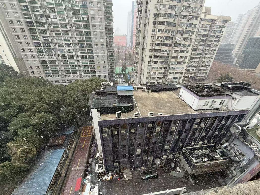 图为上海核心区域之一的徐汇区,20日上午,雪花缓缓落下。记者谢守真/摄影 图为上海核心区域之一的徐汇区,20日上午,雪花缓缓落下。记者谢守真/摄影