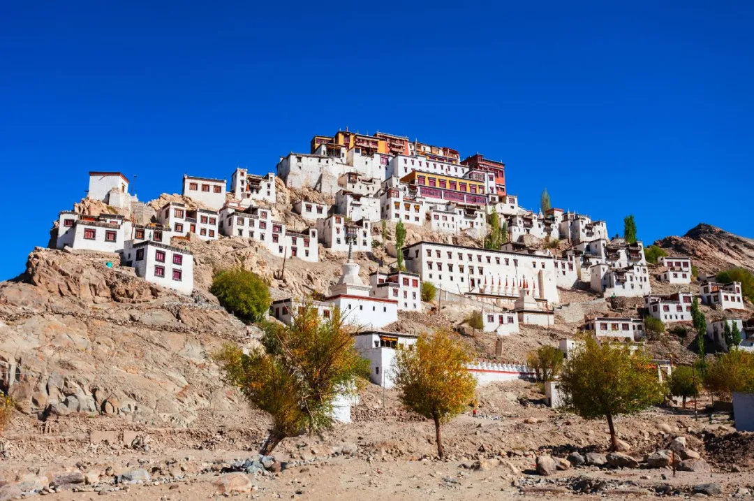 来到印度藏人区,拉达克 来到印度藏人区,拉达克