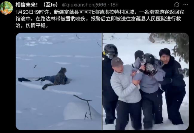 新疆雪豹伤人 游客“满面是血”痛苦画面曝 新疆雪豹伤人 游客“满面是血”痛苦画面曝