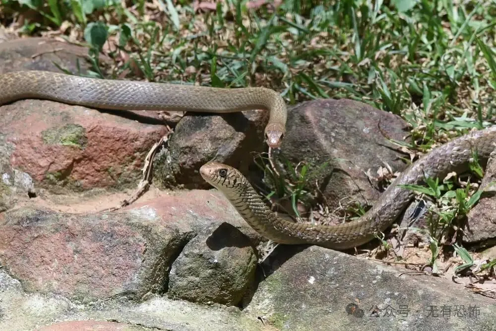 地球上前10个绝对禁止进入的地方
