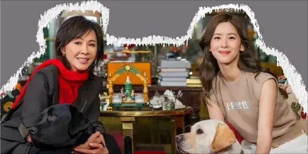 "奶茶妹妹"章泽天翻车：没实力的大女主人设，真的很尬