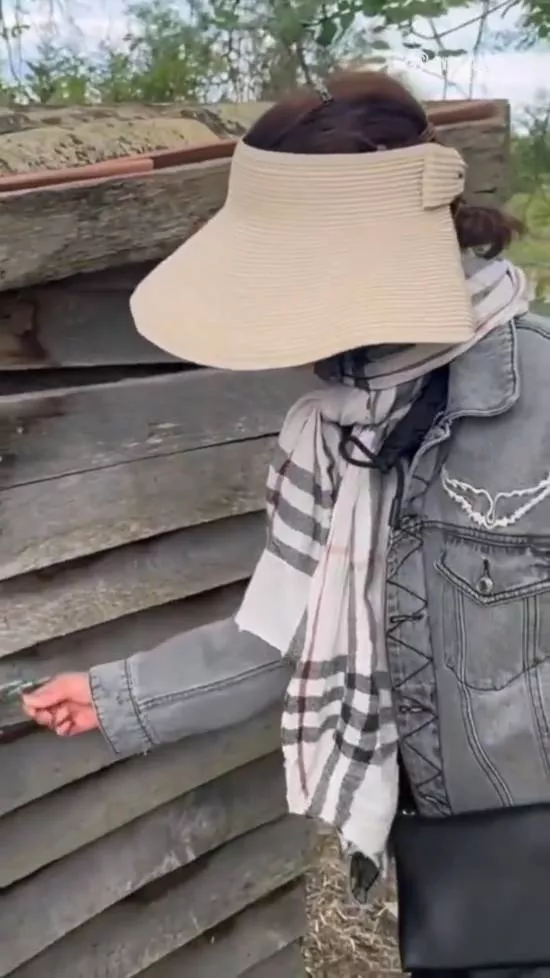 62岁张曼玉晒退休生活!法国乡下田园生活