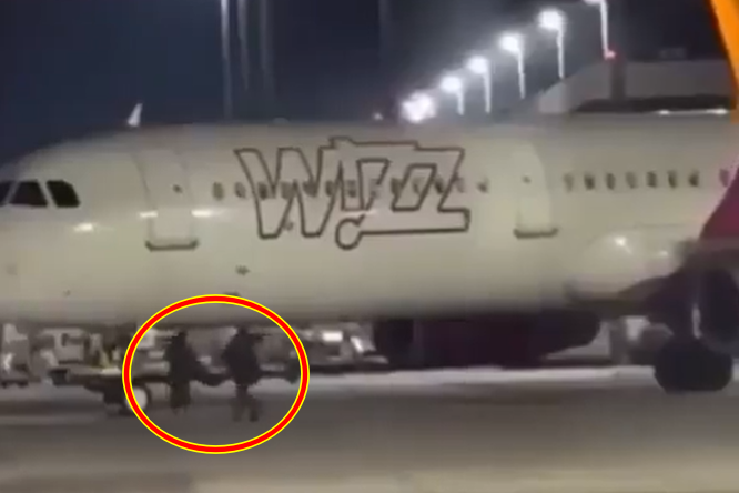 ▲▼             。（圖／翻攝自X）