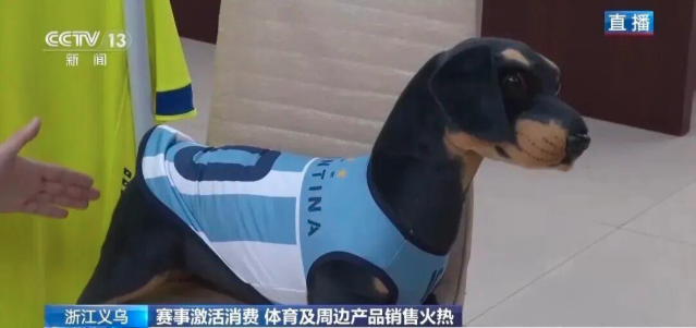 义乌又爆单了！