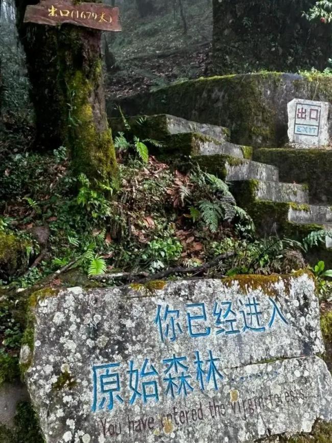 绝望：北大女博士倒挂长城2小时，目睹自己坠亡