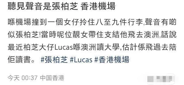 张柏芝又飞澳洲陪Lucas读书,独自拿八九件行李,真是顾大又顾小
