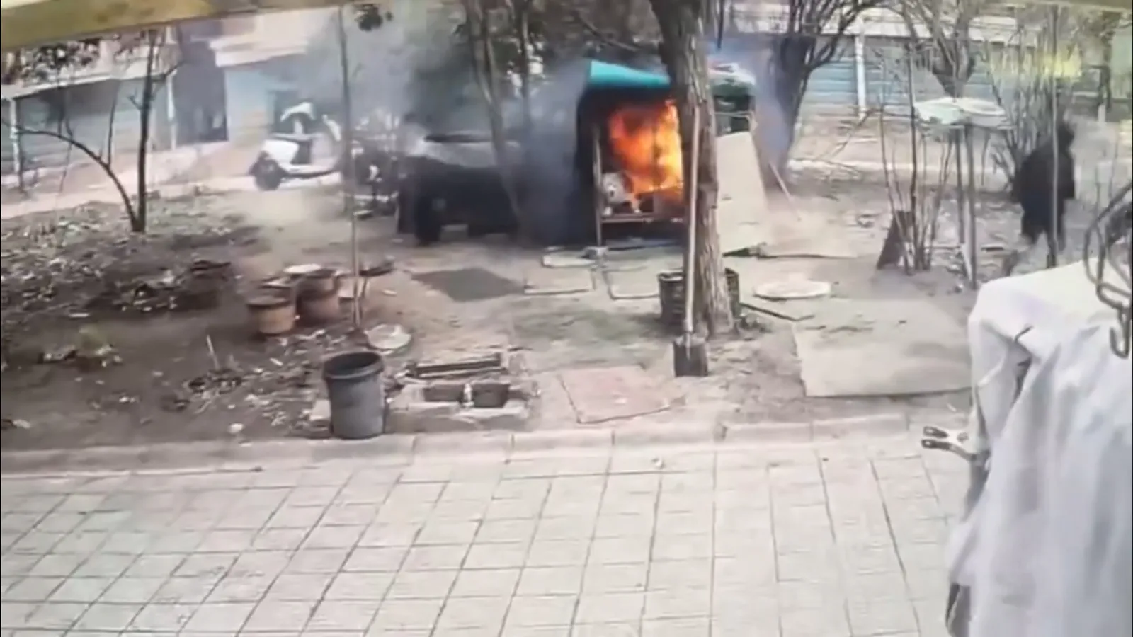 中国屁孩玩火烧死萨摩耶 惨叫3分钟