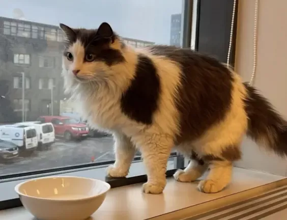 45岁中国人“上岸”冰岛公务员,年休假30天 45岁中国人“上岸”冰岛公务员,年休假30天