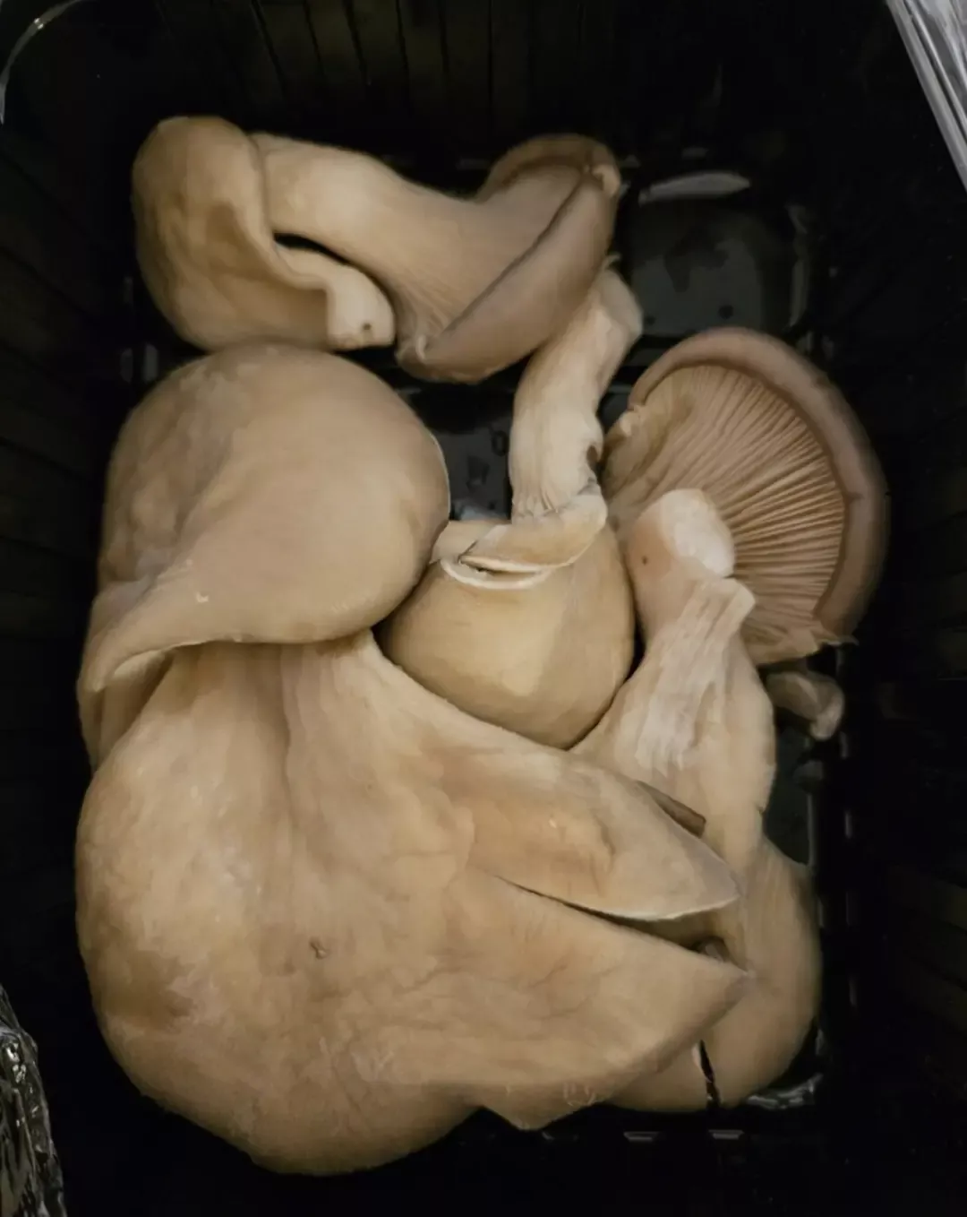 45岁中国人“上岸”冰岛公务员,年休假30天 45岁中国人“上岸”冰岛公务员,年休假30天