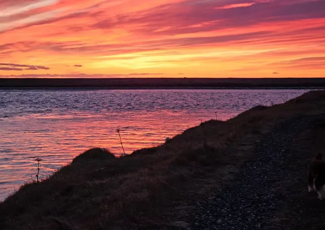 45岁中国人“上岸”冰岛公务员,年休假30天 45岁中国人“上岸”冰岛公务员,年休假30天