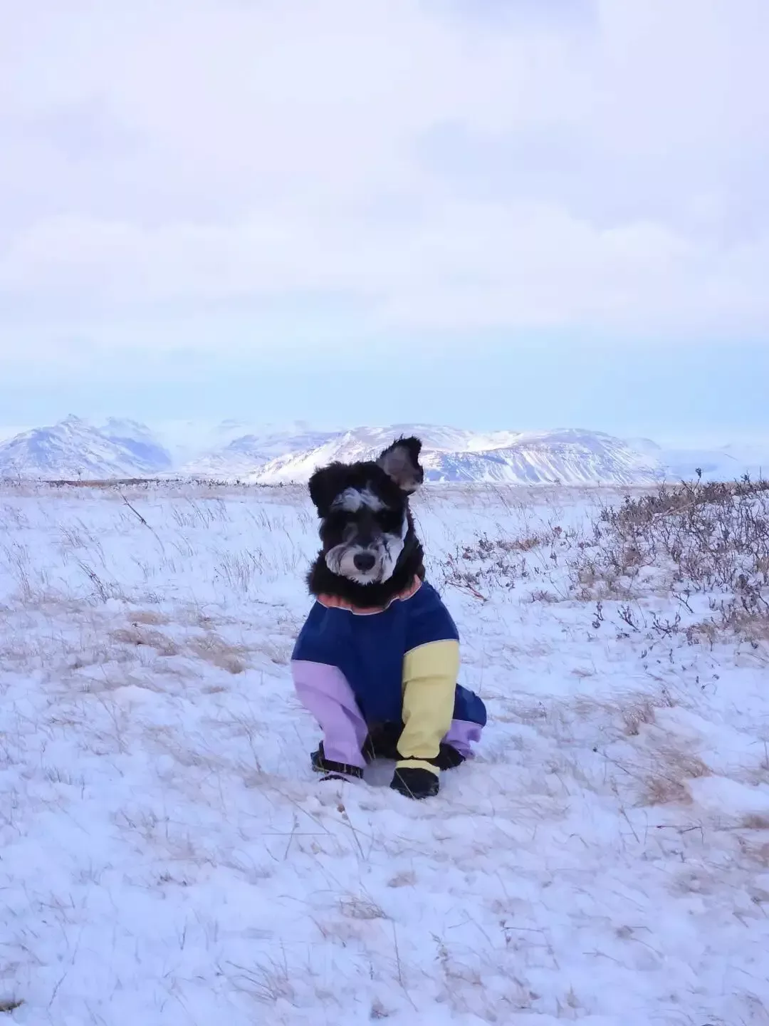 45岁中国人“上岸”冰岛公务员,年休假30天 45岁中国人“上岸”冰岛公务员,年休假30天