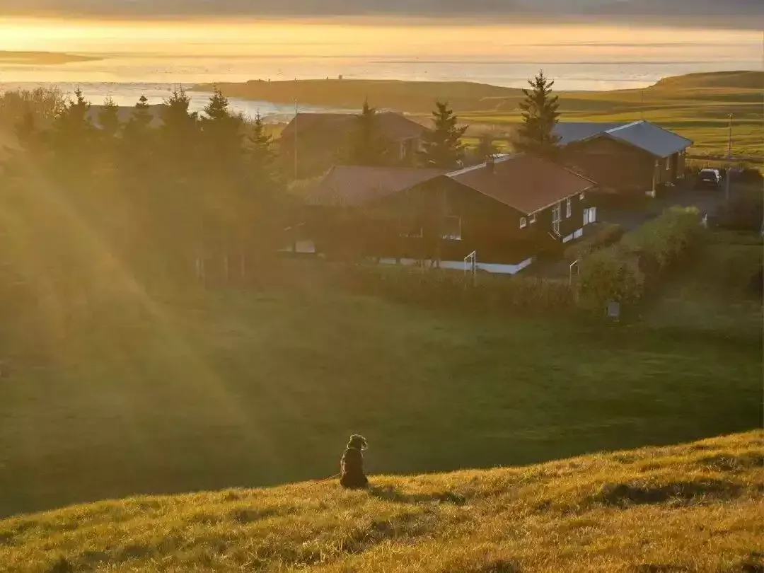 45岁中国人“上岸”冰岛公务员,年休假30天 45岁中国人“上岸”冰岛公务员,年休假30天