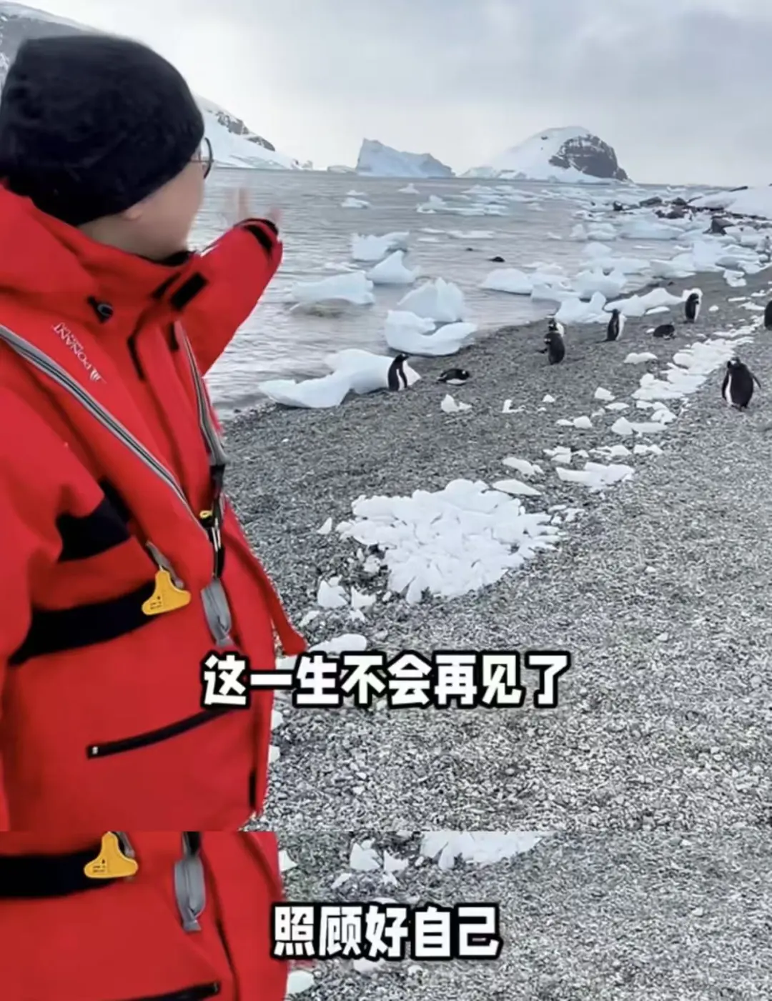 连南极都被“避雷”