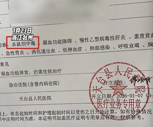 “娃娃菜事件”三次炸裂反转 见证蠢人的巅峰 “娃娃菜事件”三次炸裂反转 见证蠢人的巅峰