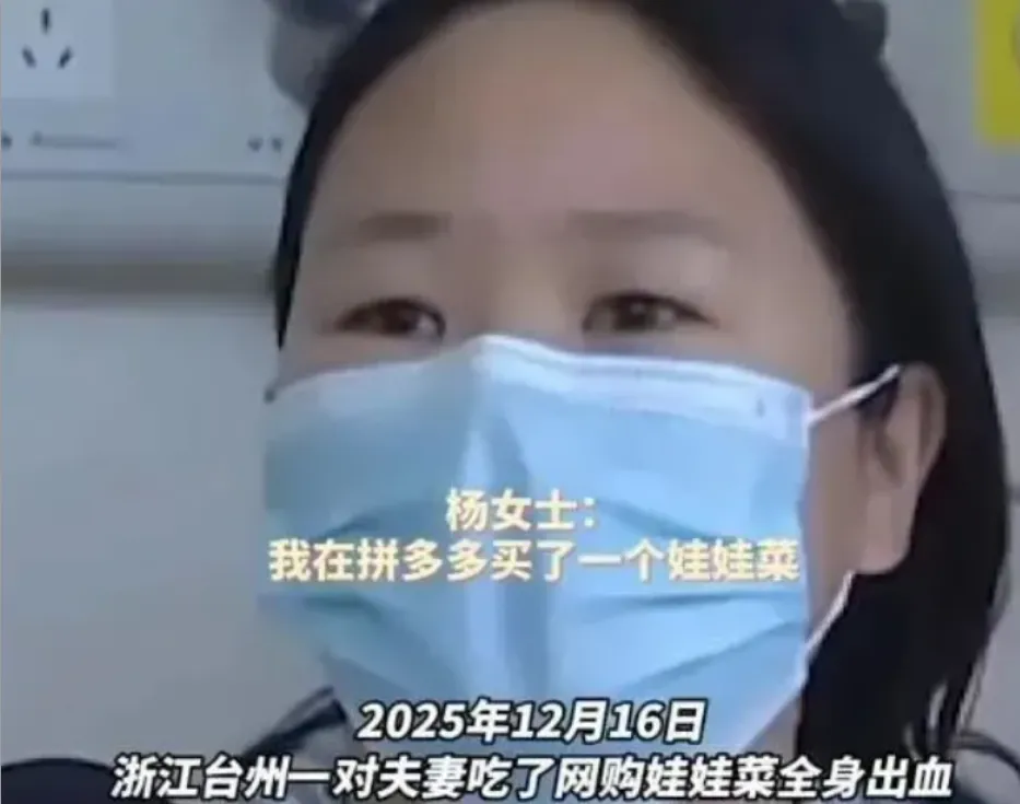 “娃娃菜事件”三次炸裂反转 见证蠢人的巅峰 “娃娃菜事件”三次炸裂反转 见证蠢人的巅峰