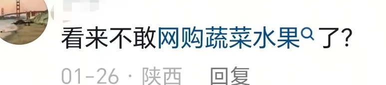 “娃娃菜事件”三次炸裂反转 见证蠢人的巅峰 “娃娃菜事件”三次炸裂反转 见证蠢人的巅峰