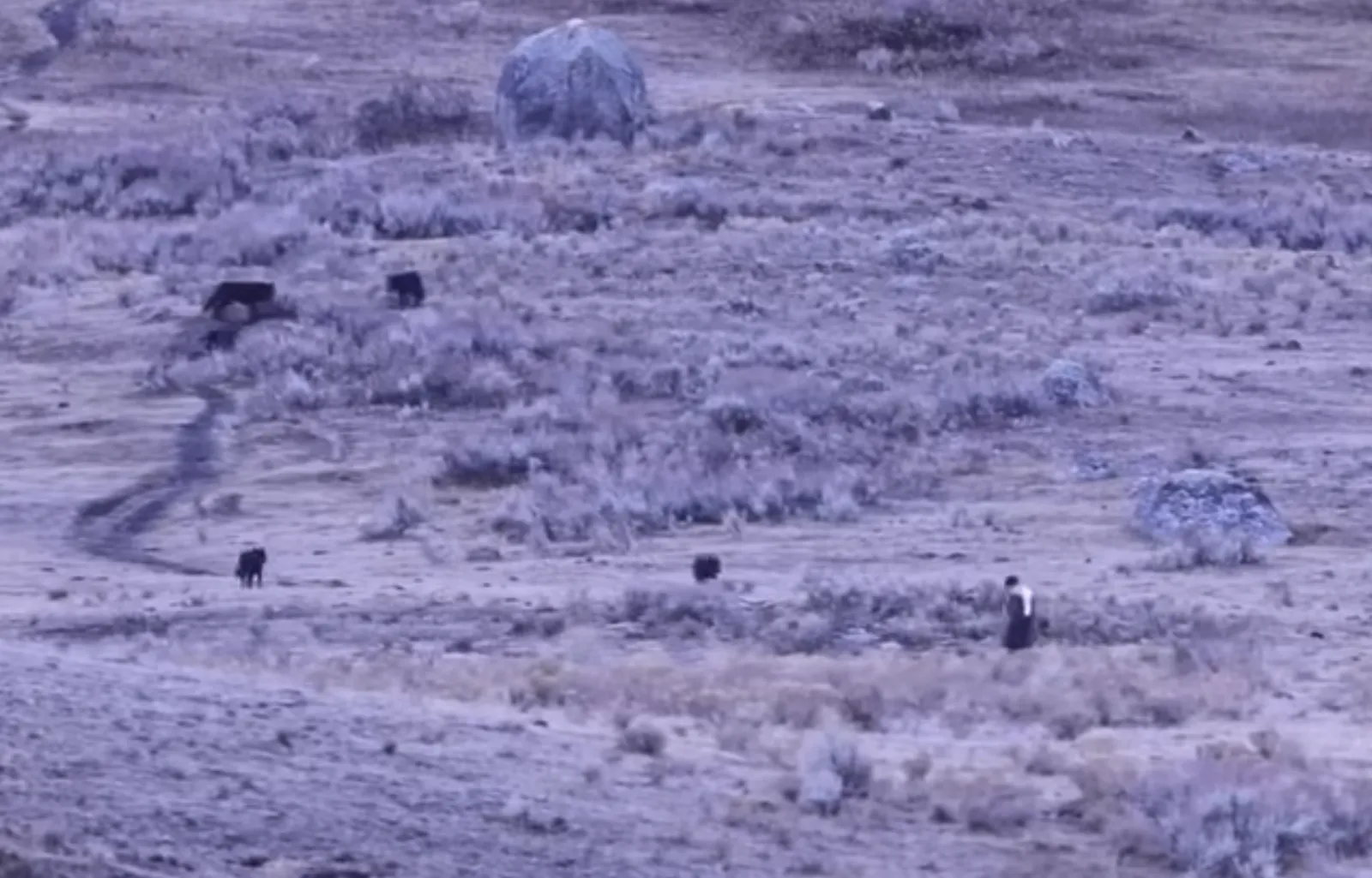 20251119edi063 20251119edi063