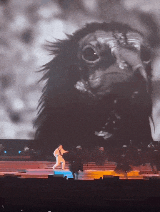 顶流巨星，命悬一线