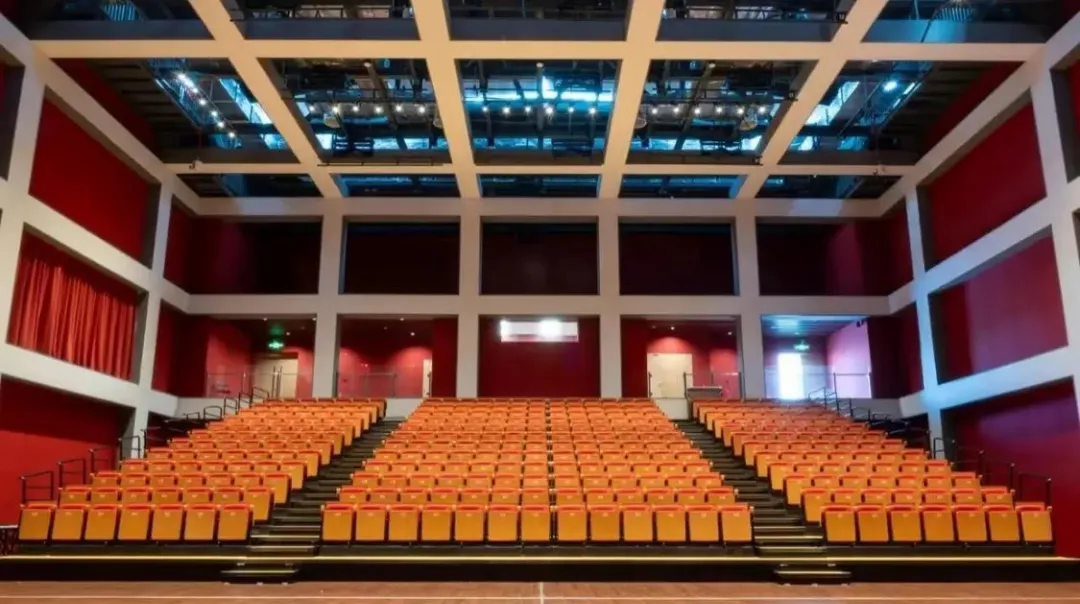 顶流巨星，命悬一线