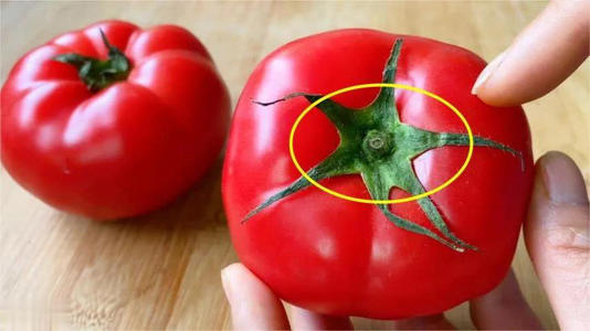 今天才懂！西红柿有无打激素，一眼从“小秘密”分辨