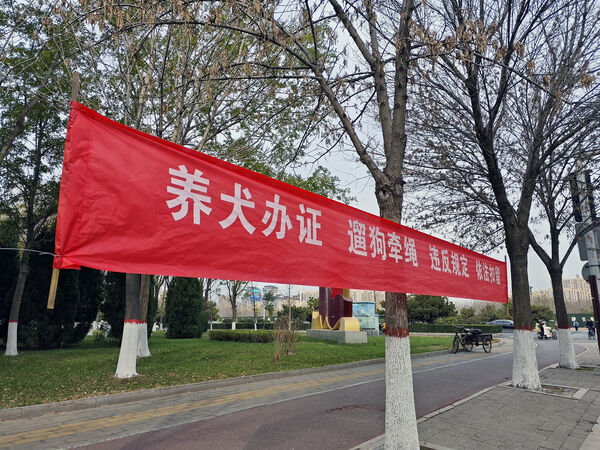 ▲大陆史上最严养犬规定上路。 (图/CFP)