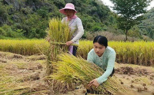 现在的孩子为什么都不早恋了？老师看在眼里急在心里
