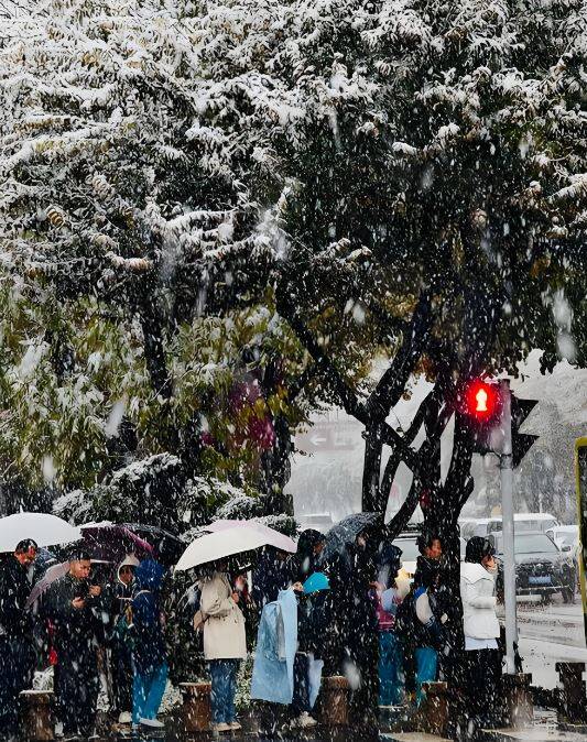 取消日本行程后,中国人把钱花在哪? 答案是去看雪。 (提取自社群媒体)