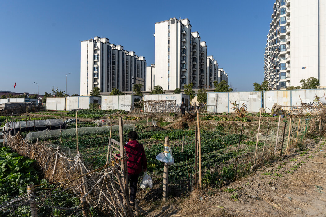 宁波城郊一块尚未开发的空地上，居民种植的蔬菜。
