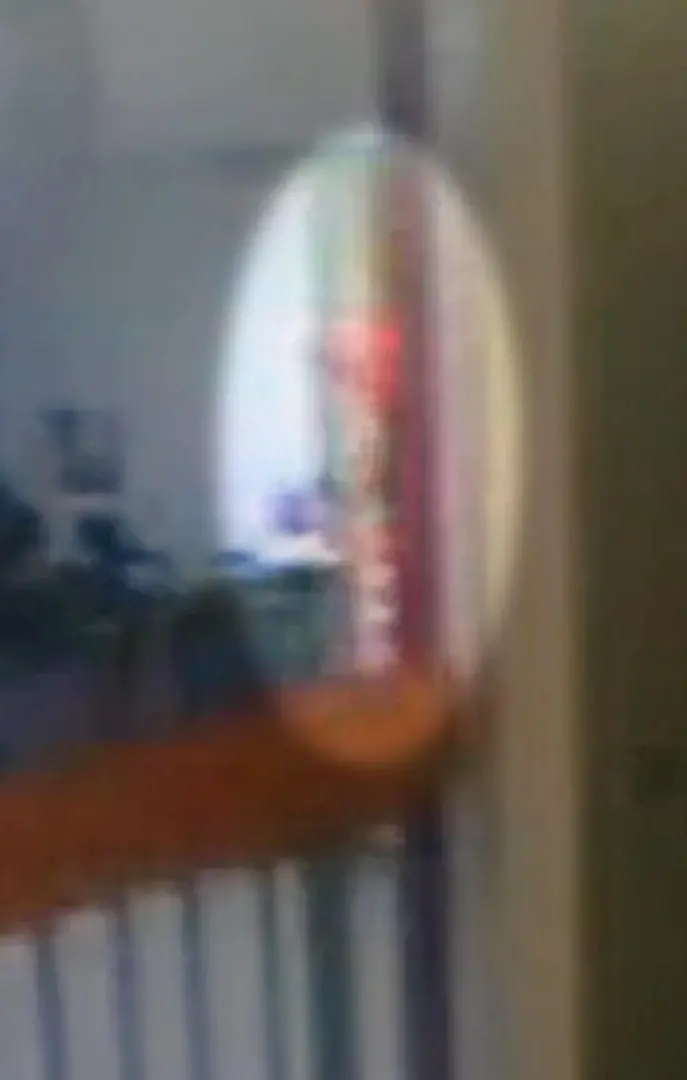 爱泼斯坦死亡当晚神秘“橙色人影”进封锁区 TA是谁?